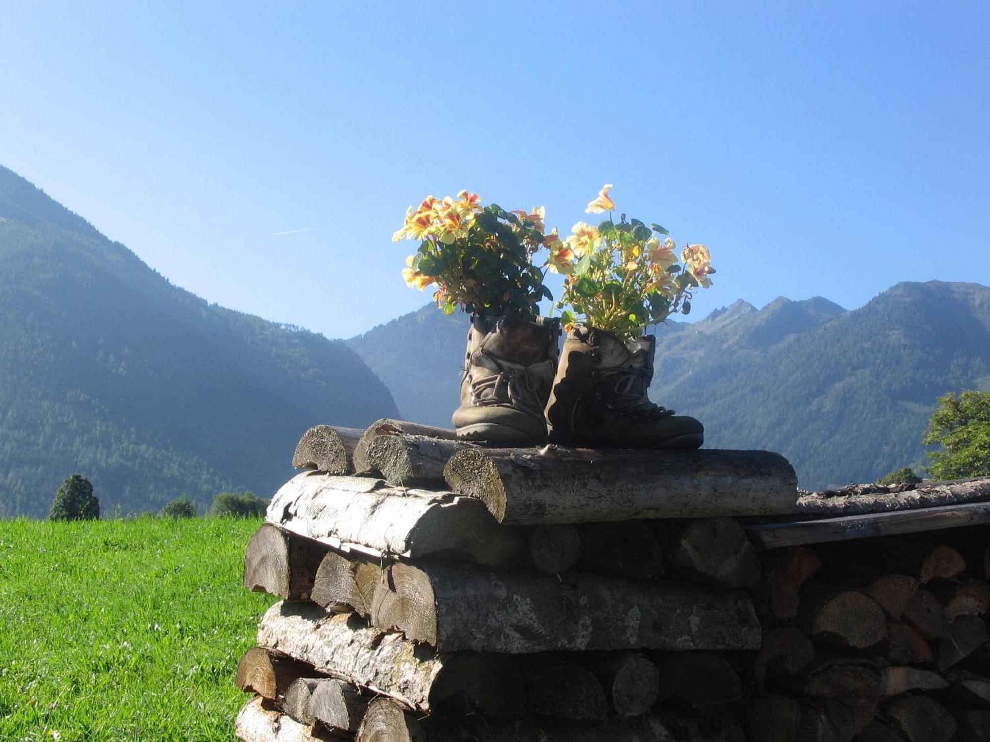 Landhaus Steiner Schladming Exterior photo