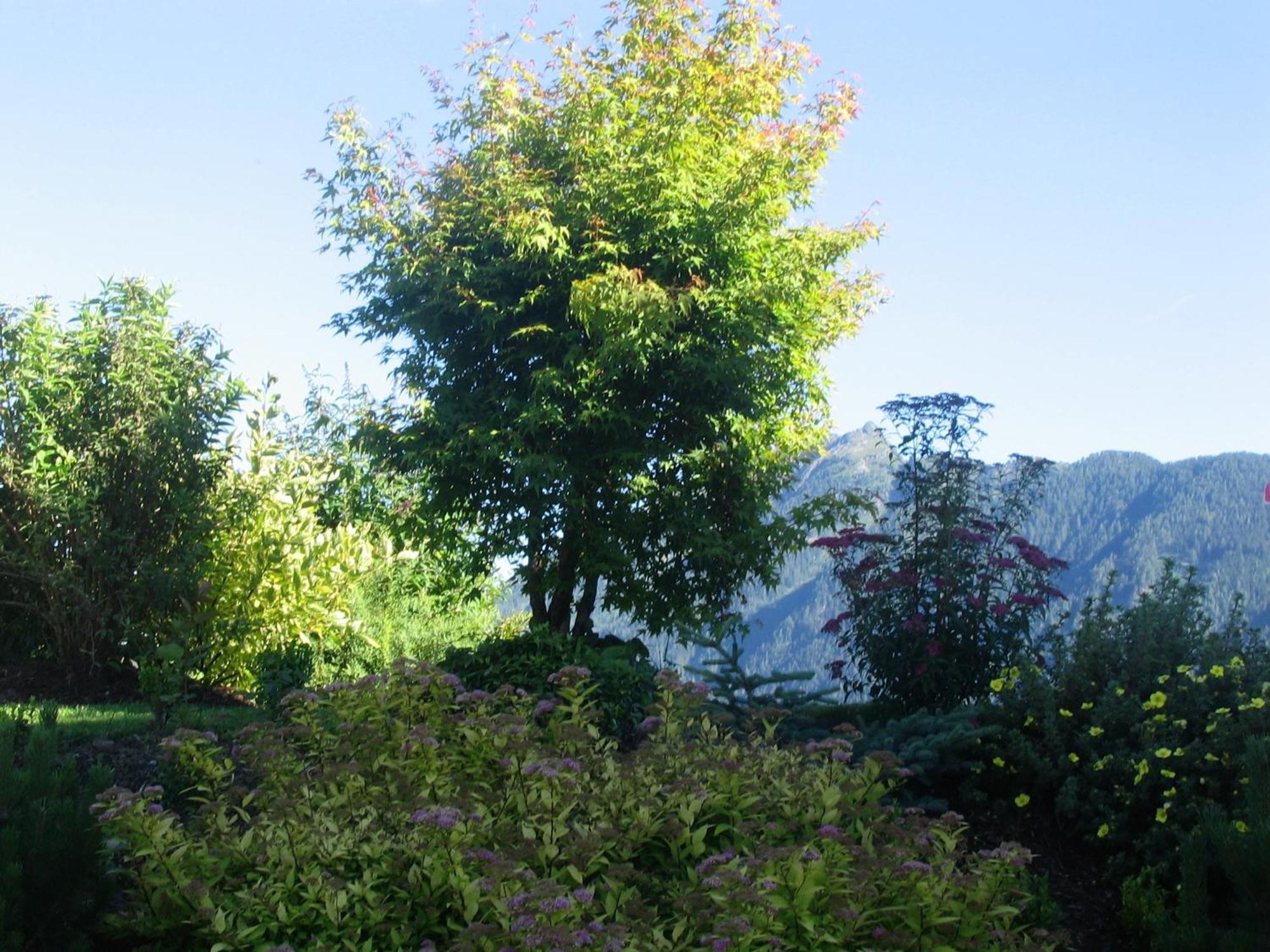 Landhaus Steiner Schladming Exterior photo
